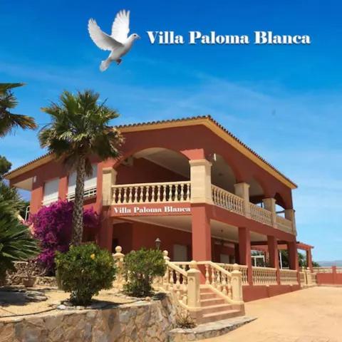 Villa Paloma Blanca El Albir ภายนอก รูปภาพ